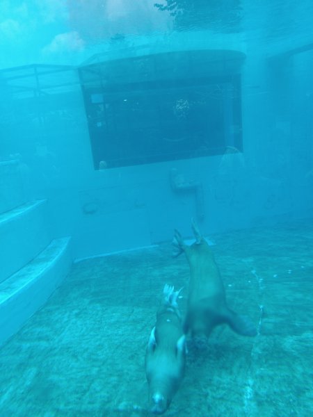 IMG 20230723 152237