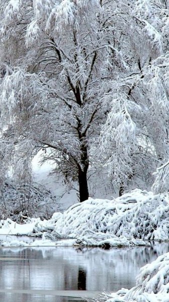 c198f3db2c08e96f73be600f9decf--winter-is-coming