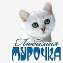 МУРКА