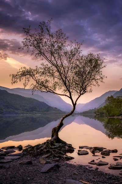 FkGR5iRCrFO5OOXoLsdLzpkf89HnjADnkCjvFl f0eyqSJMcDuzT9r