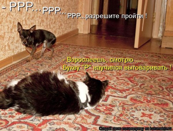 Разрешите пройти!