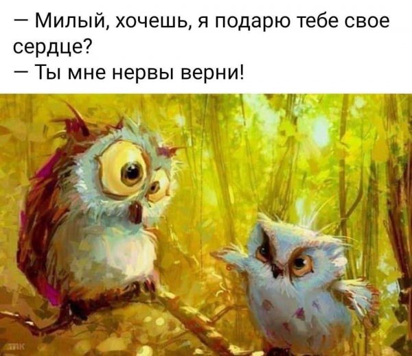 FB IMG 1768218337838