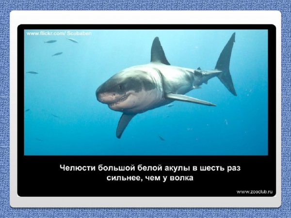 Небольшой факт