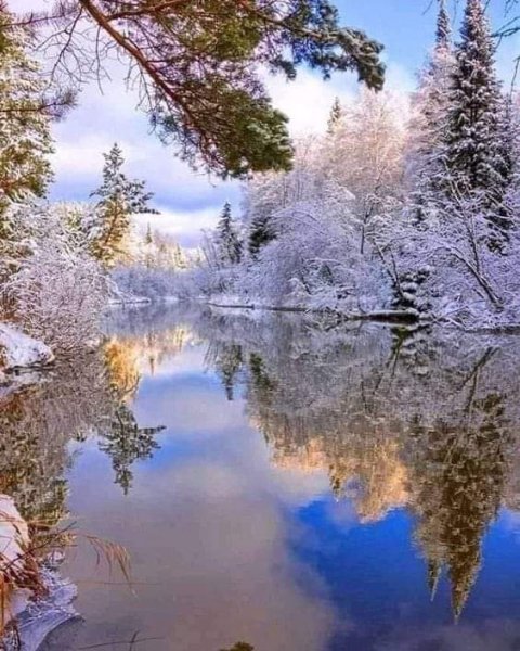 FB IMG 1610934645693