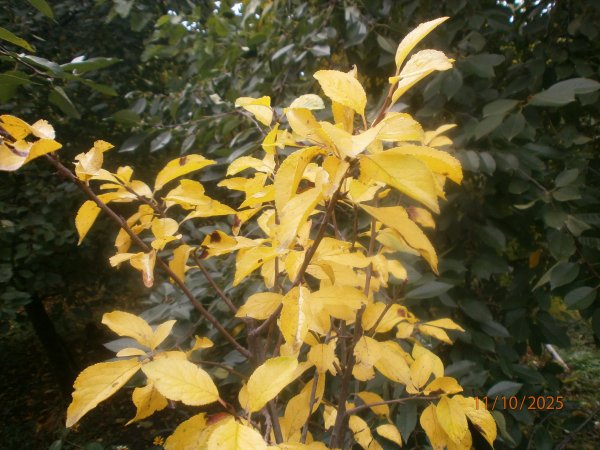 PA110014