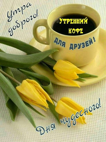 3AgG-r8iLvc