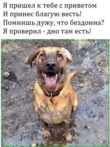Опаньки!