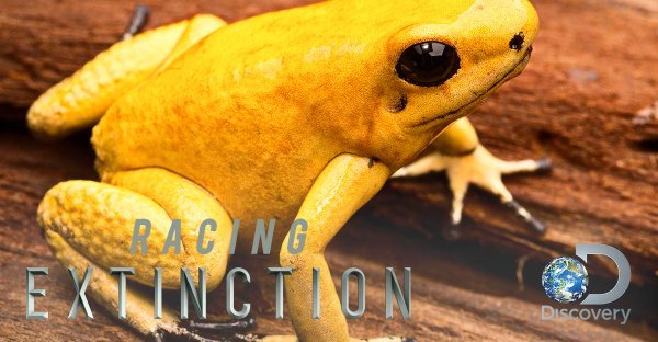 "Racing Extinction"