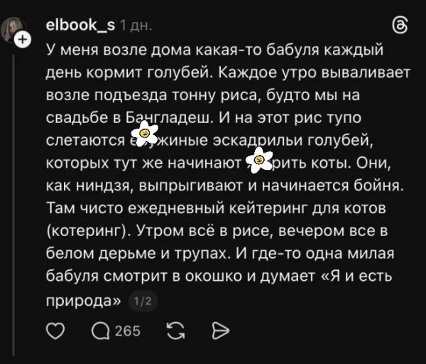 Бабушка и голуби)