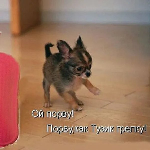 Да! ))