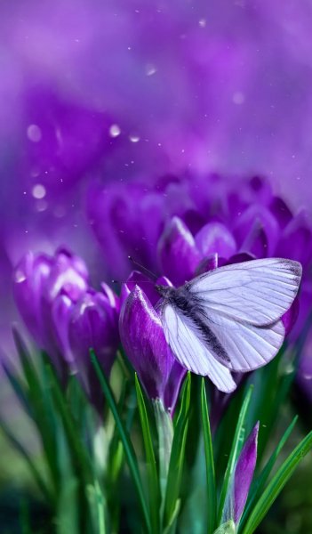 Screenshot 20240926-060022