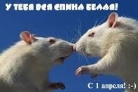 images-1