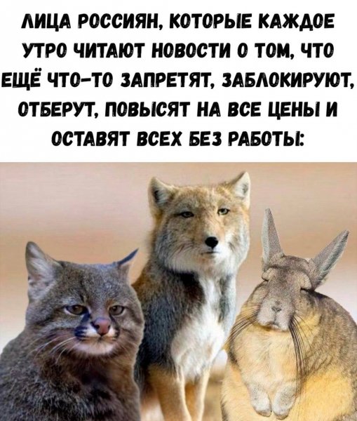 IMG 20260613 100743 675