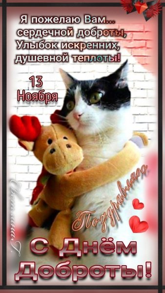 Изображение viber 2024-11-13 03-32-45-651