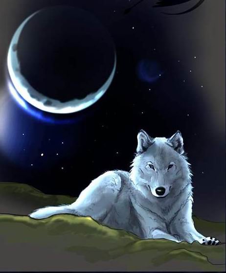 Луна и волк