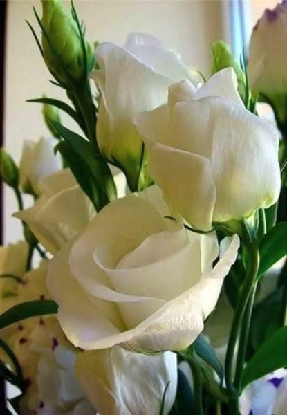 FB IMG 1613105006108