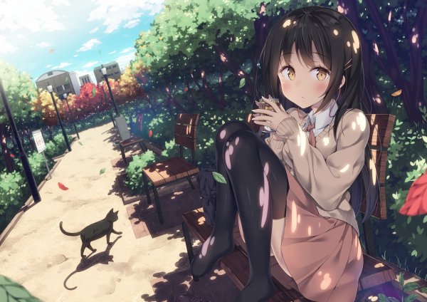B37581c1fce10a1bb2adfc10e8f7c0ae waifu2x art noise0 scale