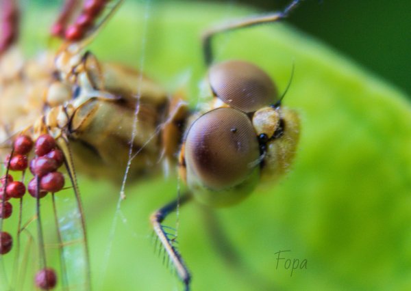 ff646b025e IMG 8120 edited