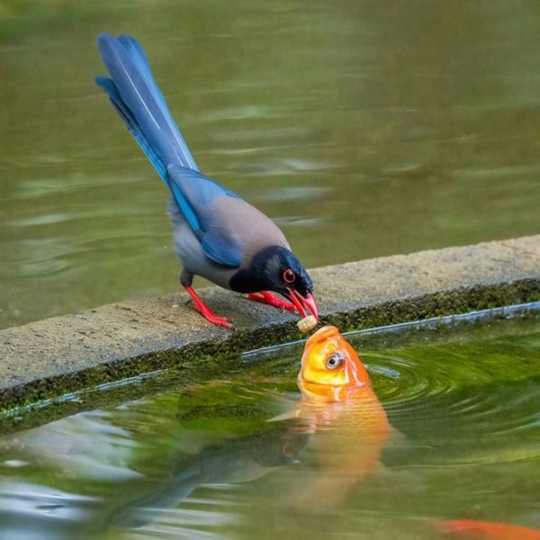 e296e3d5cabcfad59201ac74f3090