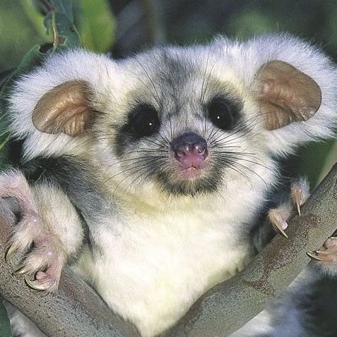 Cc3543904c310d8d79c58a0622c13d77