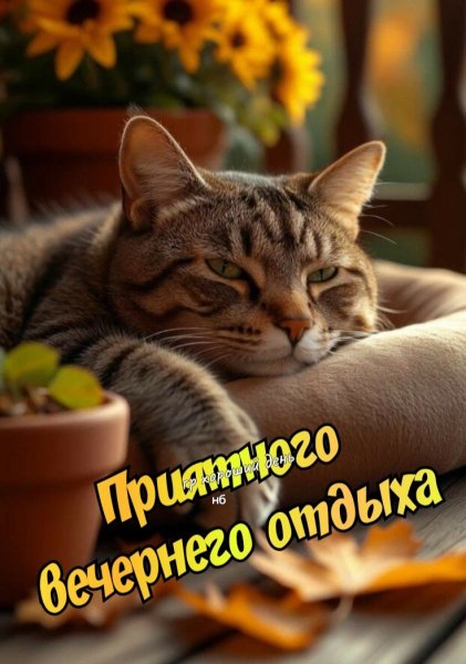 11e9a4bc64d412fc20cb6f41f7beb0e9