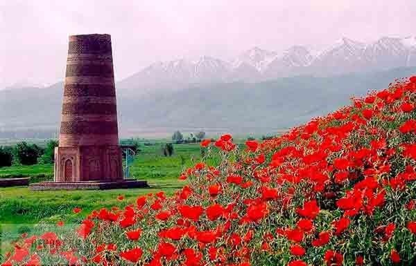Башня Бурана(Kyrgyzstan)