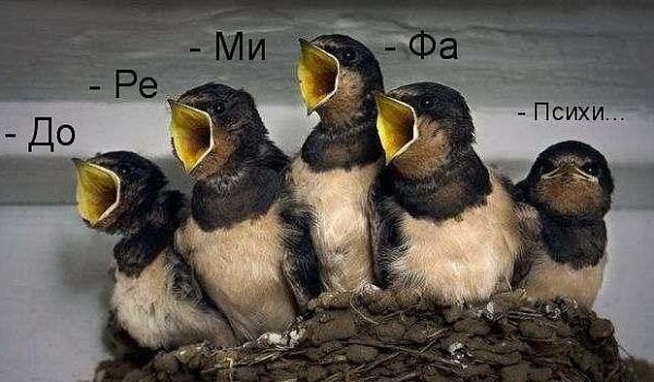 IMG 20151206 204151 11