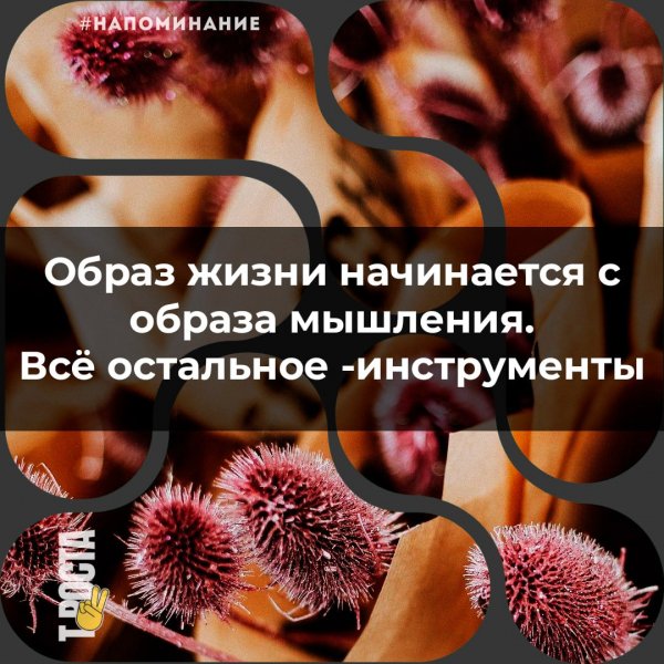 IMG 20260401 203639 630