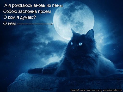 Думаю о нем