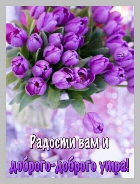 FB IMG 1617703719845
