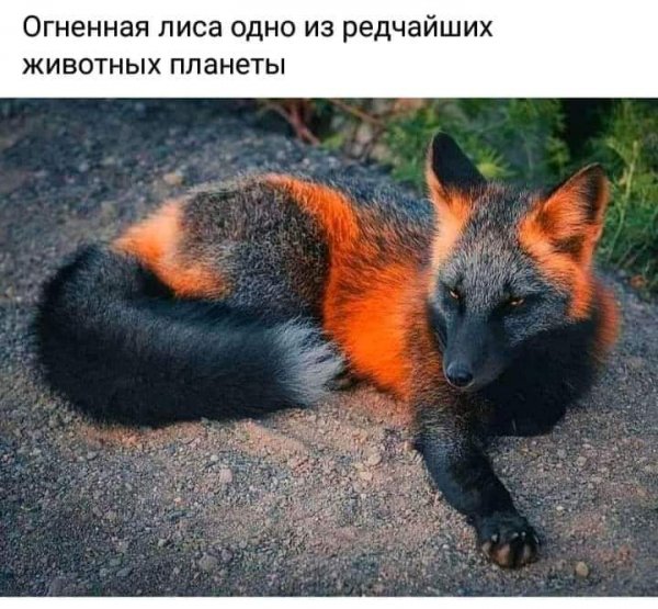 FB IMG 1621023036451