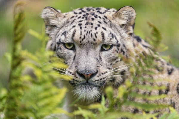 8ab9470710ec6984efc6c6d9cbdcc0c9