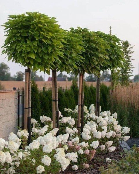 5ef8a1e7-92e4-4337-b751-34dba4c2059c