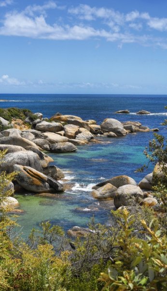 Screenshot 20260222-165635 One UI Home