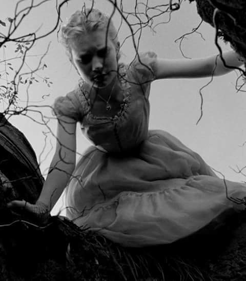 Saved Images 13680640 1078925578863300 47768972568