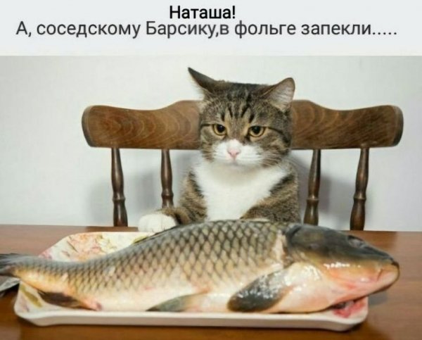 Опаньки!
