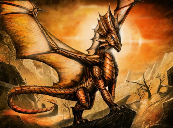 драконы 003342