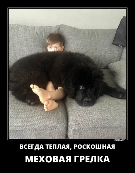 Теплая, роскошная
