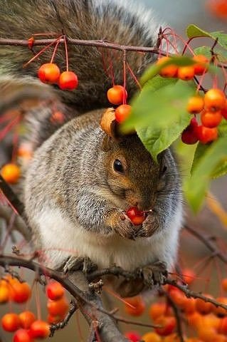 d249dfcefc584032ac252ee89b9e22e9