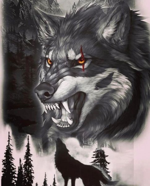 B 312438067 809409680267102 5592061889070845902 n