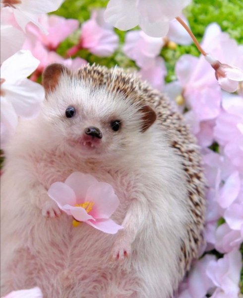 bc6682ddb9fa4337bb8a2d8689d50