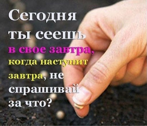 5tyicU5hhpF42a7kvlOzqAExfrFMDMrxT01B9q8dD-C1htfSNXQWvfzQ2se0