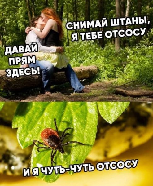 IMG 1763316833712