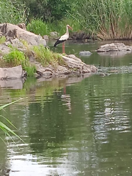 IMG 20250720 123535 1