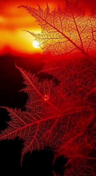 Арт Природа