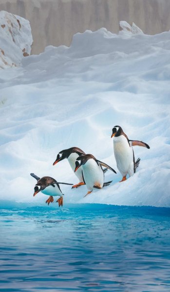 Screenshot 20250822-133304 One UI Home