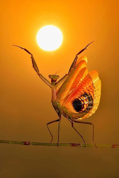 2f6ba4bc105ba9eb33f367eb15478387