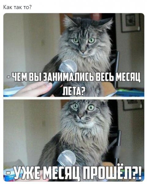 LPHWIqTOTPE