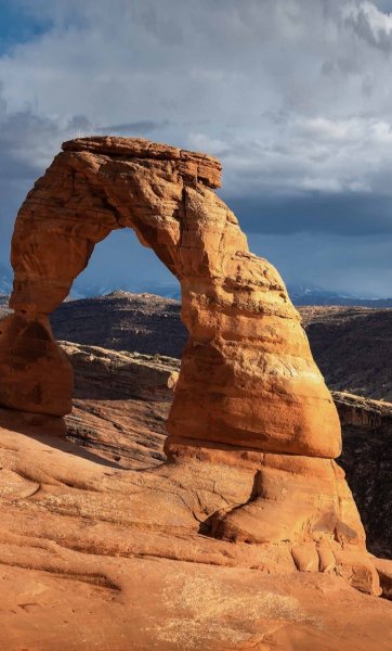 Screenshot 20240516-131256 One UI Home