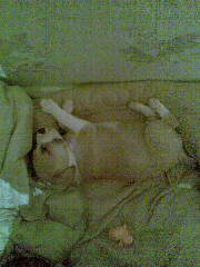 Мамина доця----5